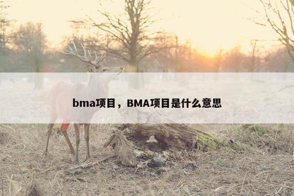 bma项目，BMA项目是什么意思